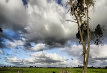 LEYU：哈维：亚马尔将是未来10或15年内最出色的球员.